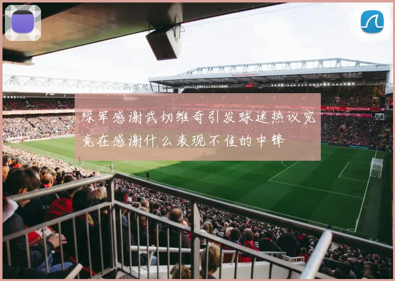 绿军感谢武切维奇引发球迷热议究竟在感谢什么表现不佳的中锋