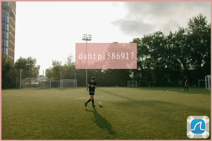 dshtpl586917