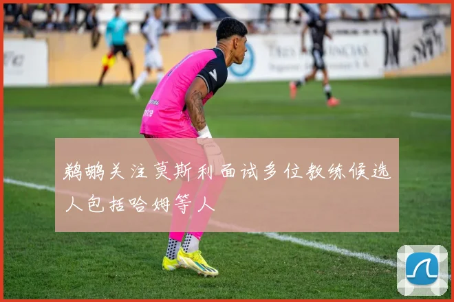 鹈鹕关注莫斯利面试多位教练候选人包括哈姆等人